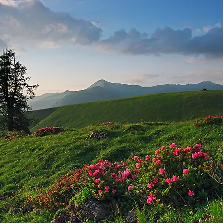 Tschuggen Grand - The Leading Of The World アローザ