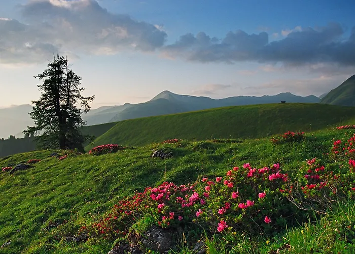 Tschuggen Grand - The Leading Of The World Arosa